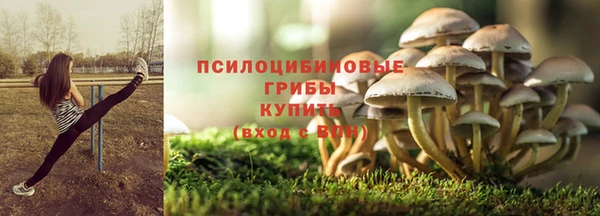 каннабис Белокуриха